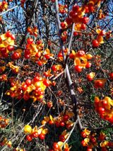 팜모닝 자유주제·자유게시판 게시글 이미지