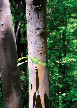 이현상님의 자유주제 · 자유게시판 작성글 사진
