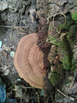 이현상님의 자유주제 · 자유게시판 작성글 사진