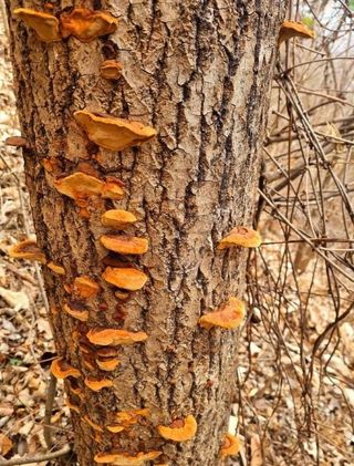 이현상님의 자유주제 · 자유게시판 작성글 사진