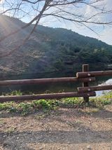 팜모닝 [팜춘문예] 짧은 시 쓰기·참여글 게시글 이미지