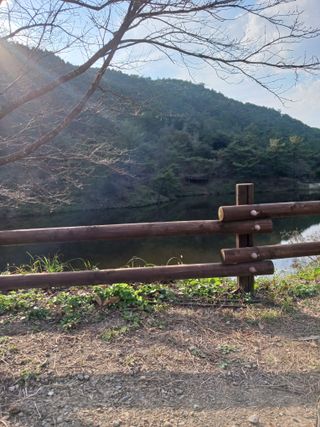 덕촌님의 [팜춘문예] 짧은 시 쓰기 · 참여글 작성글 사진