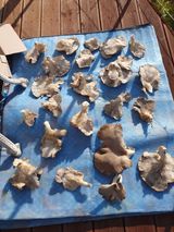 팜모닝 자유주제·자유게시판 게시글 이미지