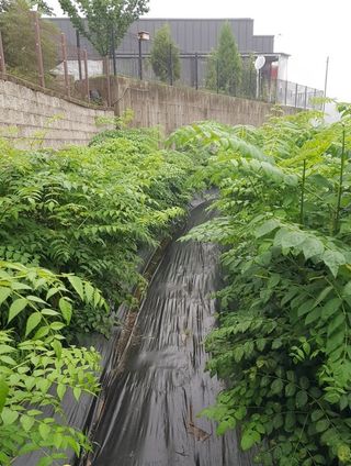 박지우님의 [팜춘문예] 짧은 시 쓰기 · 참여글 작성글 사진