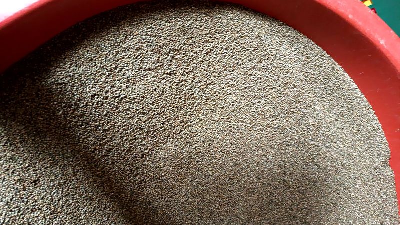 장터 상품 [들깨] 썸네일