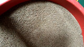 김순향님의 작성글 사진