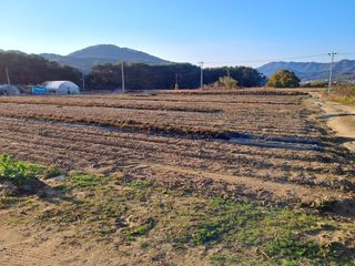 이종춘님의 자유주제 · 자유게시판 작성글 사진