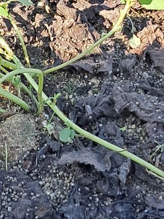 이종춘님의 자유주제 · 자유게시판 작성글 사진