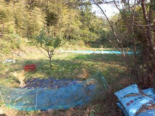 김희준님의 감자 · 영농일지 작성글 사진