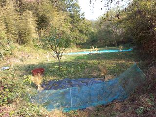 김희준님의 감자 · 영농일지 작성글 사진