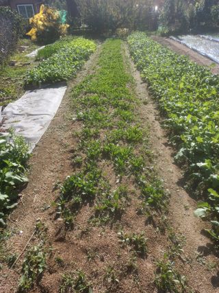 땅땅님의 기타작물 · 자유게시판 작성글 사진