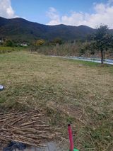 팜모닝 토마토·영농일지 게시글 이미지