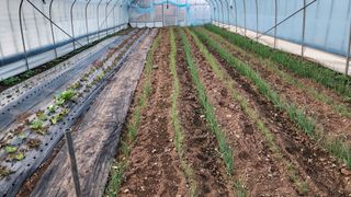 김소정(요리하는종부님의 파 · 자유게시판 작성글 사진