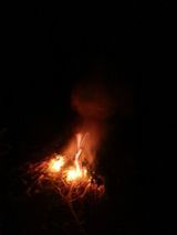 팜모닝 [팜춘문예] 짧은 시 쓰기·참여글 게시글 이미지