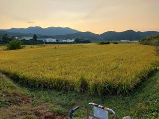 조위래님의 [팜춘문예] 짧은 시 쓰기 · 참여글 작성글 사진