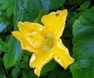 심수연님의 [팜춘문예] 짧은 시 쓰기 · 참여글 작성글 사진