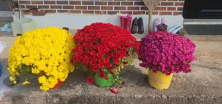 신현국님의 자유주제 · 자유게시판 작성글 사진