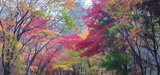 신현국님의 자유주제 · 자유게시판 작성글 사진