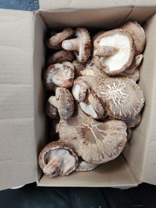 파란농원님의 작성글 사진