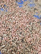 팜모닝 [팜춘문예] 짧은 시 쓰기·참여글 게시글 이미지