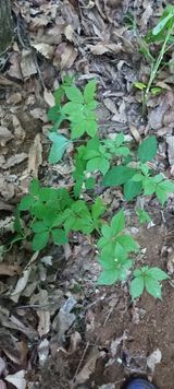 팜모닝 [팜춘문예] 짧은 시 쓰기·참여글 게시글 이미지