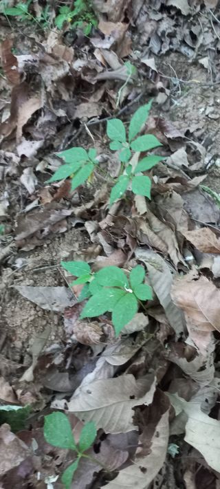 규수김님의 [팜춘문예] 짧은 시 쓰기 · 참여글 작성글 사진