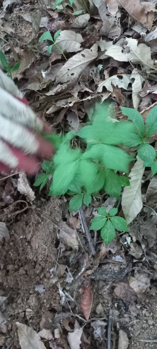 규수김님의 [팜춘문예] 짧은 시 쓰기 · 참여글 작성글 사진