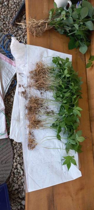 규수김님의 [팜춘문예] 짧은 시 쓰기 · 참여글 작성글 사진