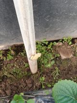 팜모닝 [팜춘문예] 짧은 시 쓰기·참여글 게시글 이미지