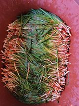 팜모닝 자유주제·자유게시판 게시글 이미지