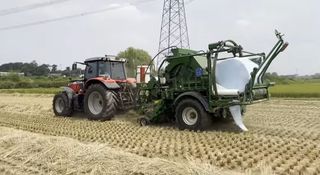 김중언님의 벼 · 자유게시판 작성글 사진