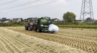 김중언님의 벼 · 자유게시판 작성글 사진