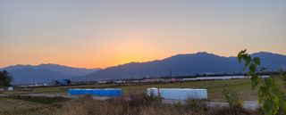 김중언님의 벼 · 자유게시판 작성글 사진