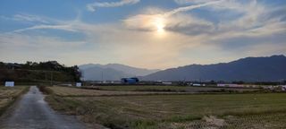 김중언님의 벼 · 자유게시판 작성글 사진