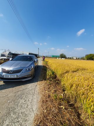 김광신님의 벼 · 영농일지 작성글 사진