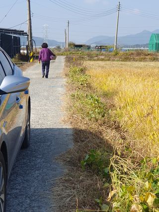 김광신님의 벼 · 영농일지 작성글 사진