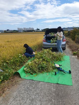 김광신님의 벼 · 영농일지 작성글 사진