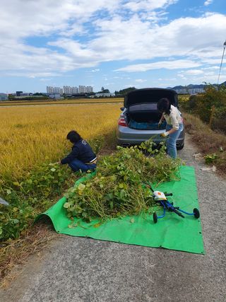 김광신님의 벼 · 영농일지 작성글 사진