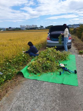 김광신님의 벼 · 영농일지 작성글 사진