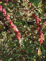 팜모닝 자유주제·자유게시판 게시글 이미지