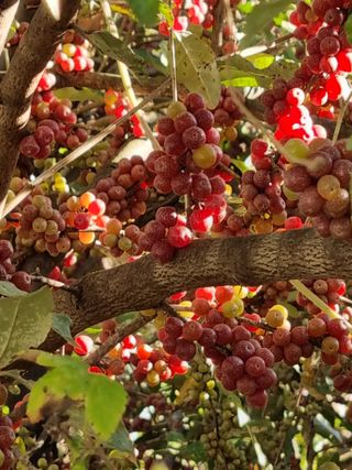 엄지농장님의 자유주제 · 자유게시판 작성글 사진