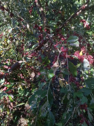 엄지농장님의 자유주제 · 자유게시판 작성글 사진