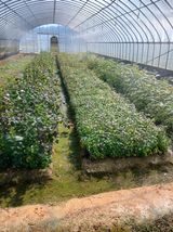 팜모닝 [팜춘문예] 짧은 시 쓰기·참여글 게시글 이미지