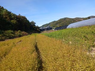 백제농원 임종엽님의 [팜춘문예] 짧은 시 쓰기 · 참여글 작성글 사진