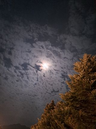 정강화님의 [팜춘문예] 짧은 시 쓰기 · 참여글 작성글 사진