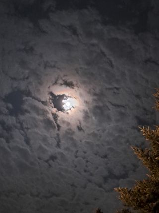 정강화님의 [팜춘문예] 짧은 시 쓰기 · 참여글 작성글 사진