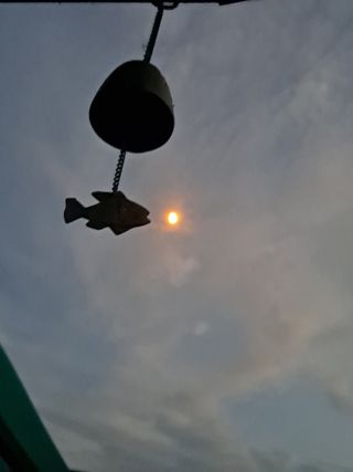 정강화님의 [팜춘문예] 짧은 시 쓰기 · 참여글 작성글 사진