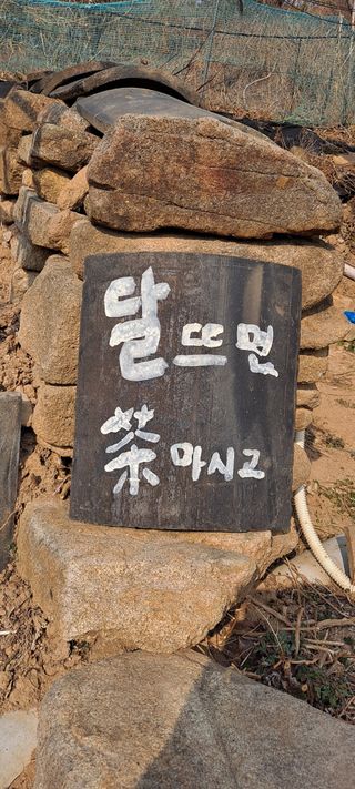 정강화님의 [팜춘문예] 짧은 시 쓰기 · 참여글 작성글 사진