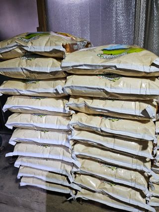 원머루 강낙도님의 벼 · 자유게시판 작성글 사진