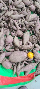 팜모닝 [팜춘문예] 짧은 시 쓰기·참여글 게시글 이미지